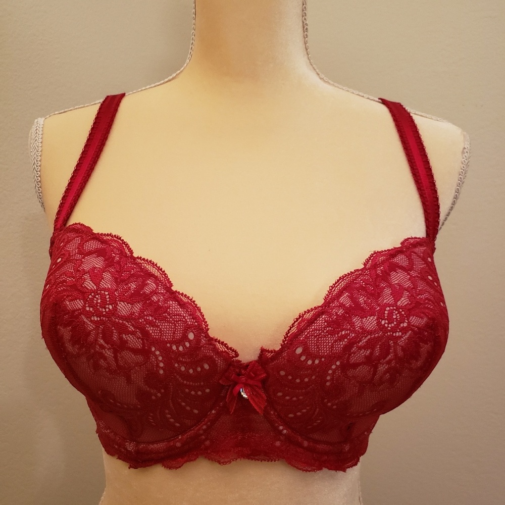 Le Mystere Sophia Lace Bra in a romantic red 34DDD